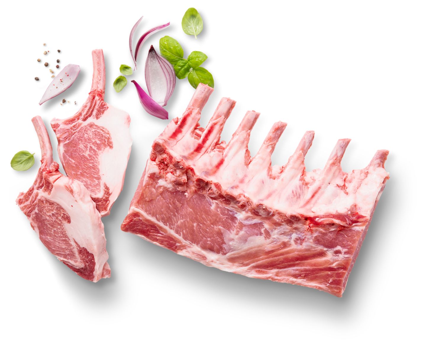 Frenched Racks vom Ibéricoschwein, aus dem Schweinerücken
