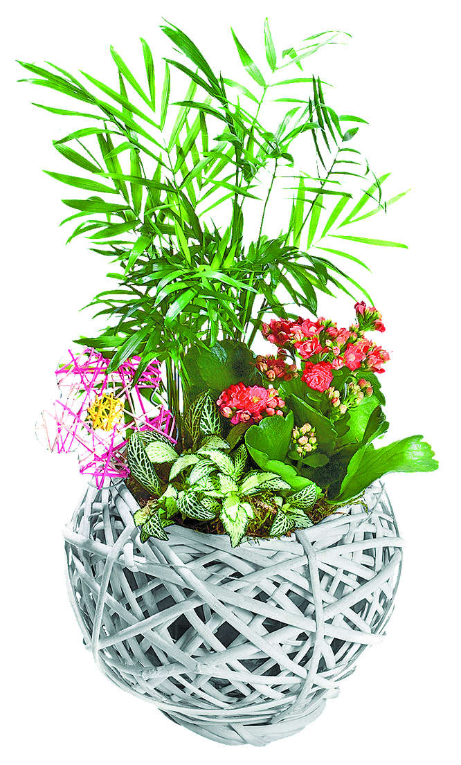 Изображение за продукта Кошница с цветя Ø18 см