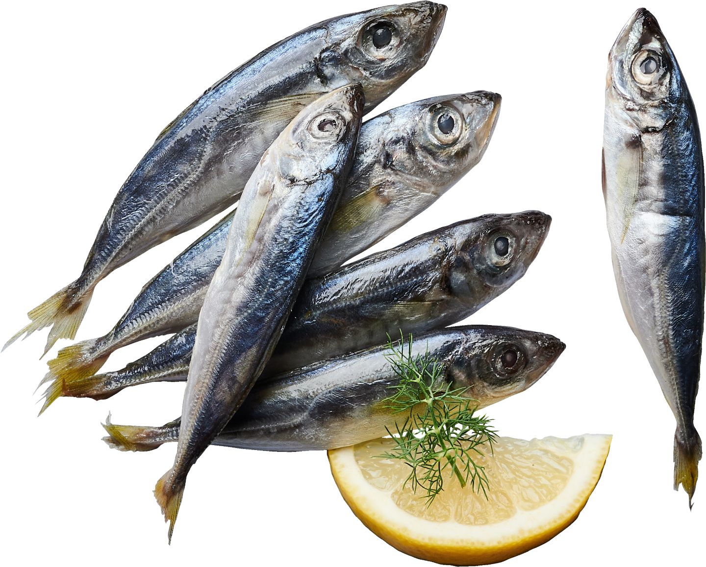 Изображение на Сафрид от свежата витрина