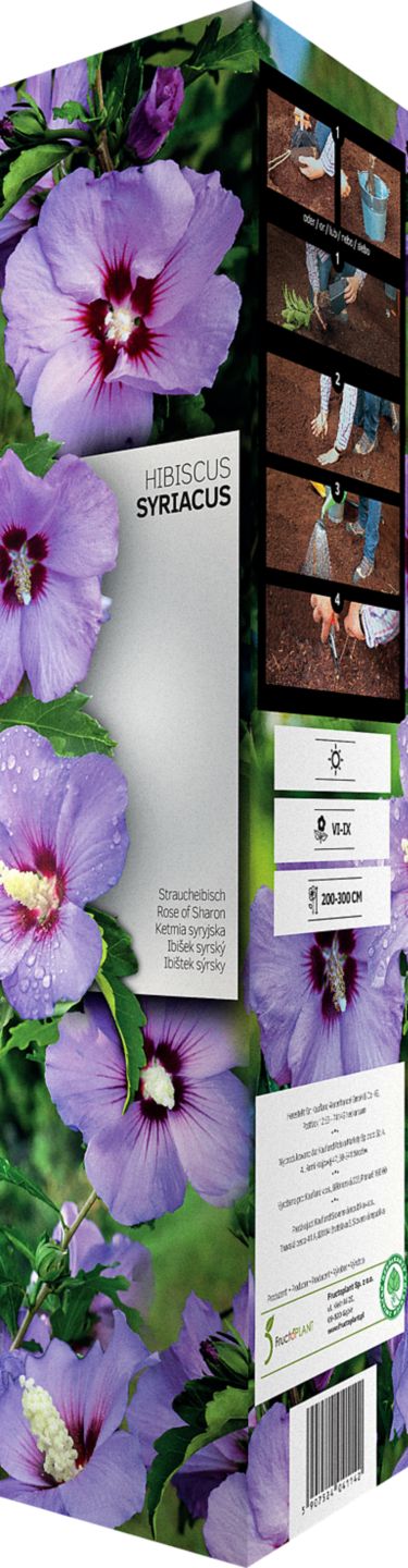 Okrasné kry mix mrazuvzdorný ker