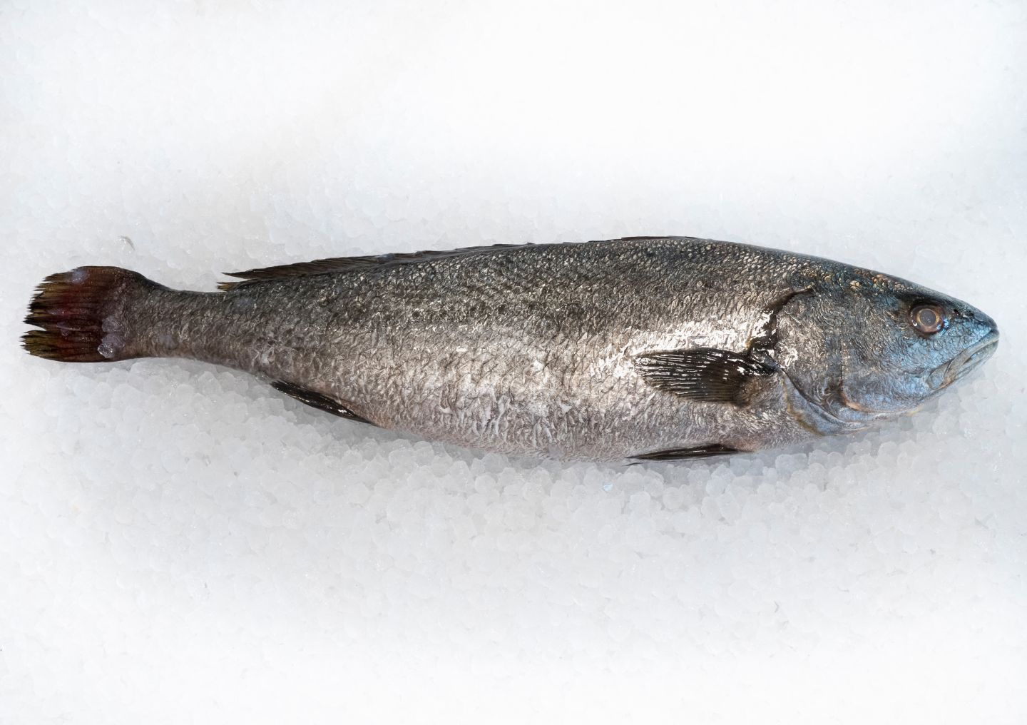 Изображение на Милокоп от свежата витрина