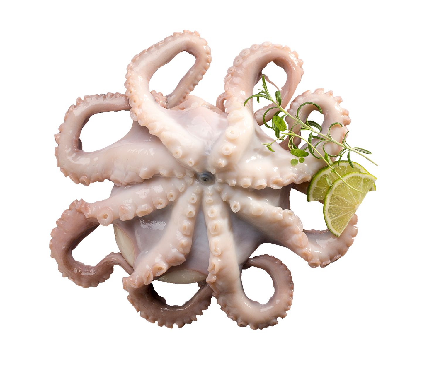 Изображение на Октопод от свежата витрина