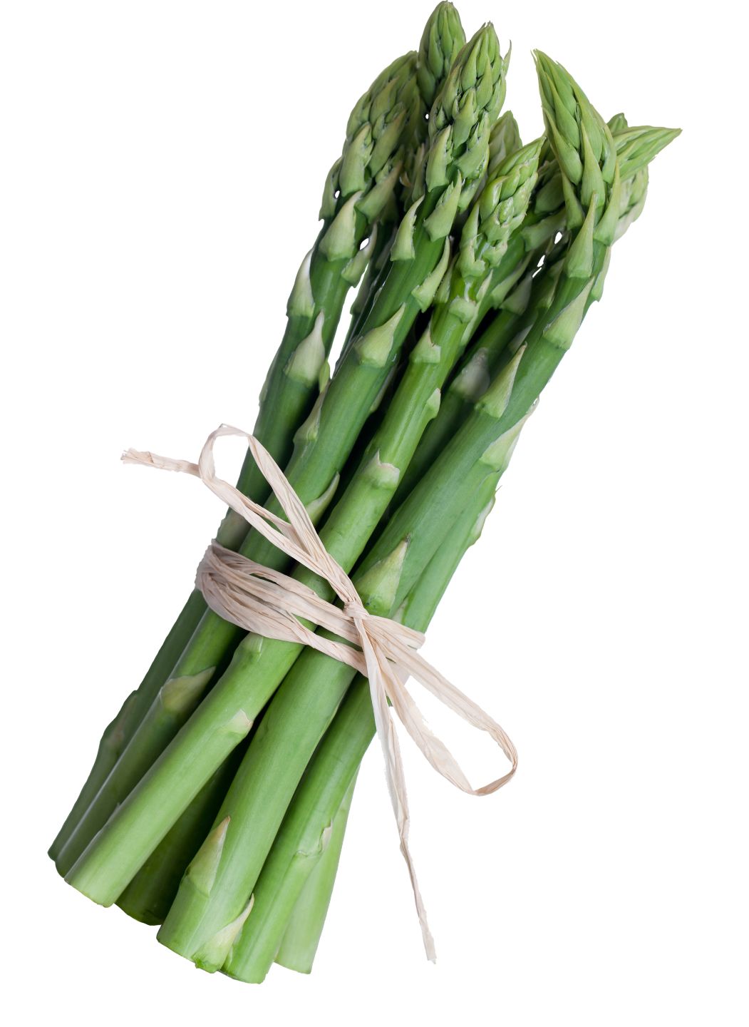 BIO Špargľa zelená slovenská