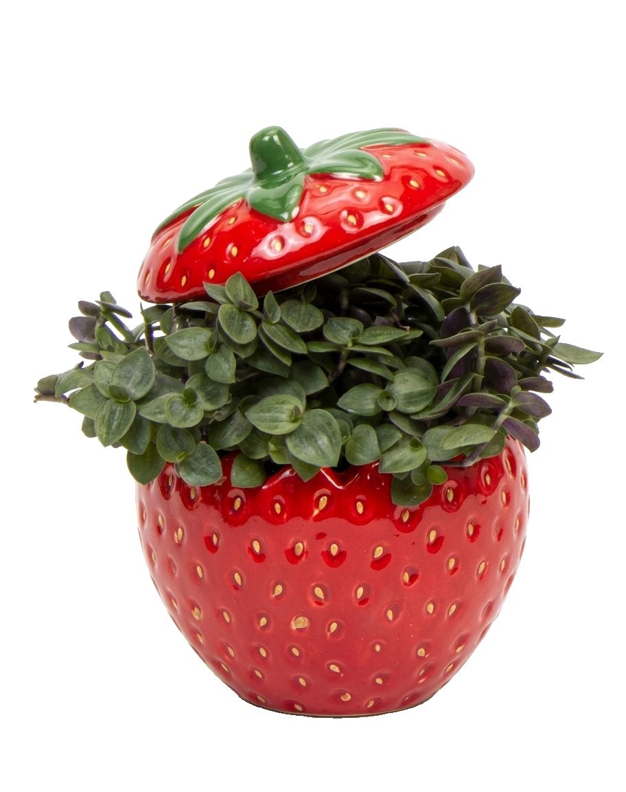 Изображение на Кализия в керамика Ø6 см