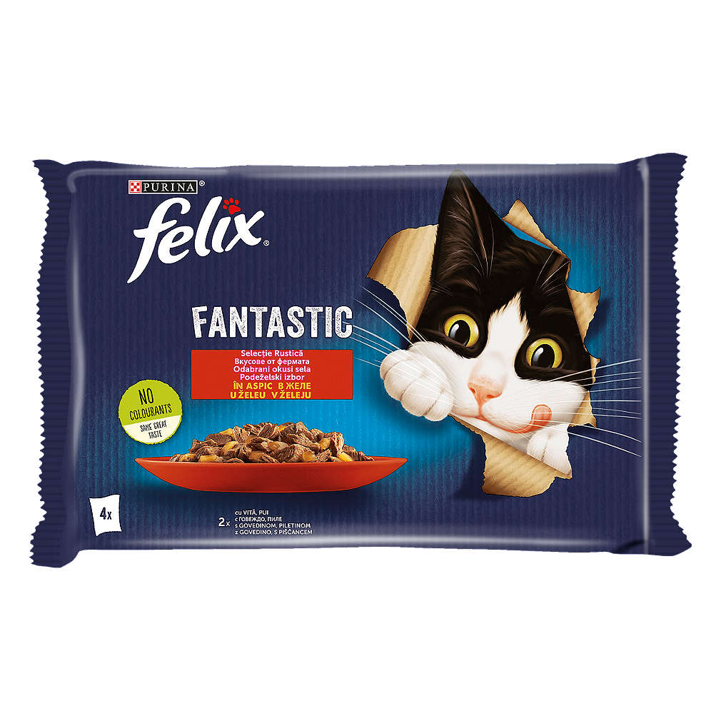 Изображение за продукта Felix Pouch Храна за котки различни видове