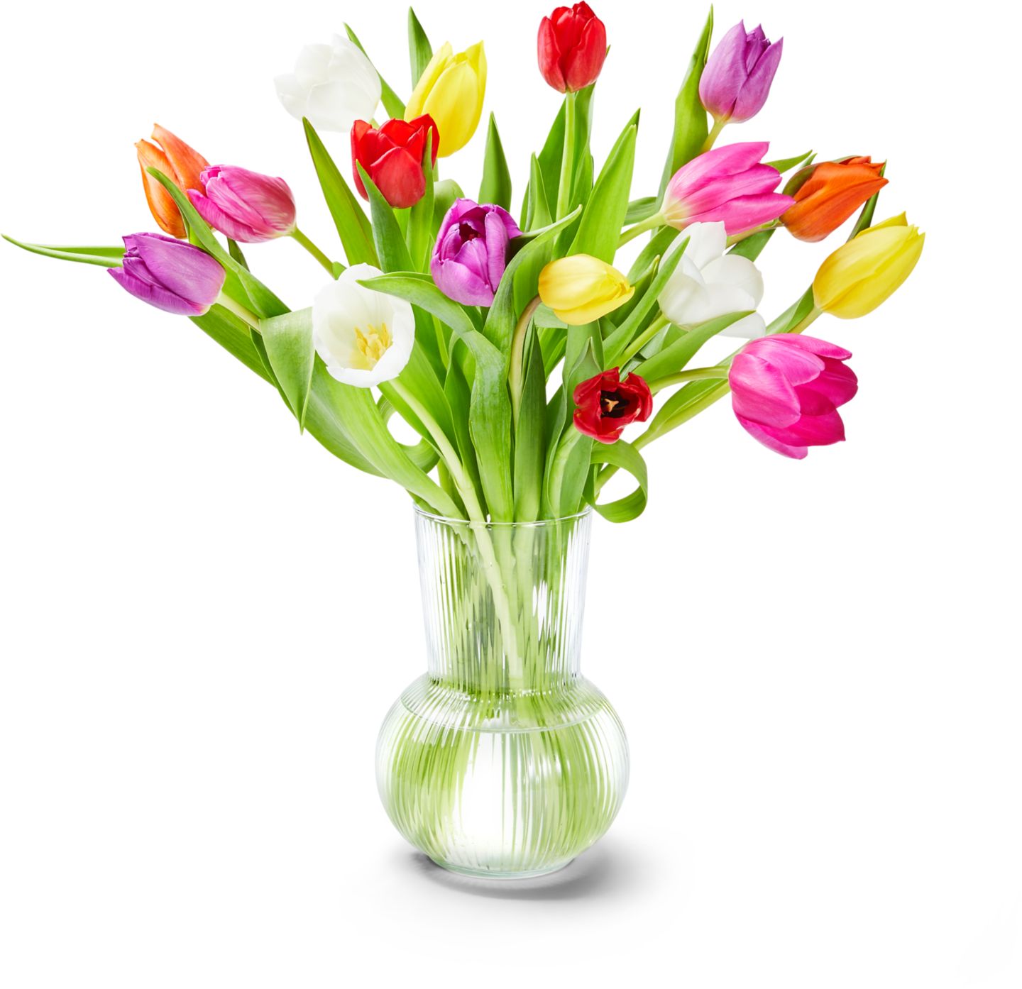 Kytica tulipánov "Mix19" rezaná kytica