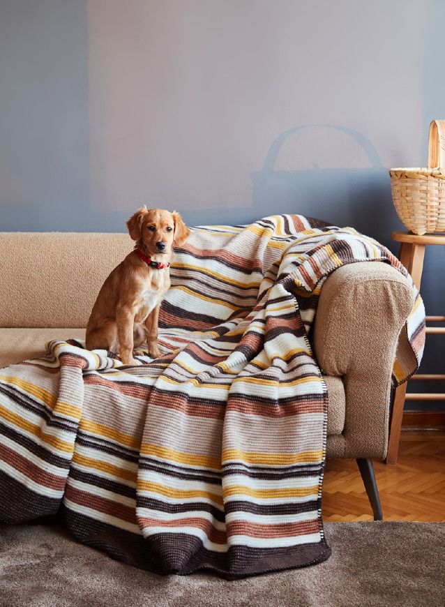 Изображение на Ditex Одеяло Дарси
150 х 200 см