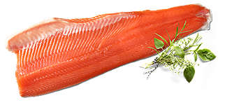 K-Blue Bay Pstrąg tęczowy łososiowy