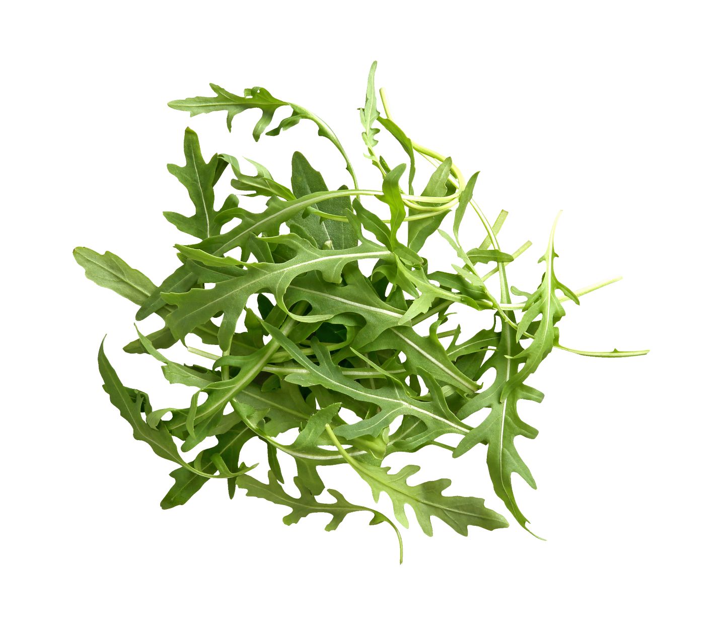 KBio Rukola 100 g MPC 2.5.2025=1,29€