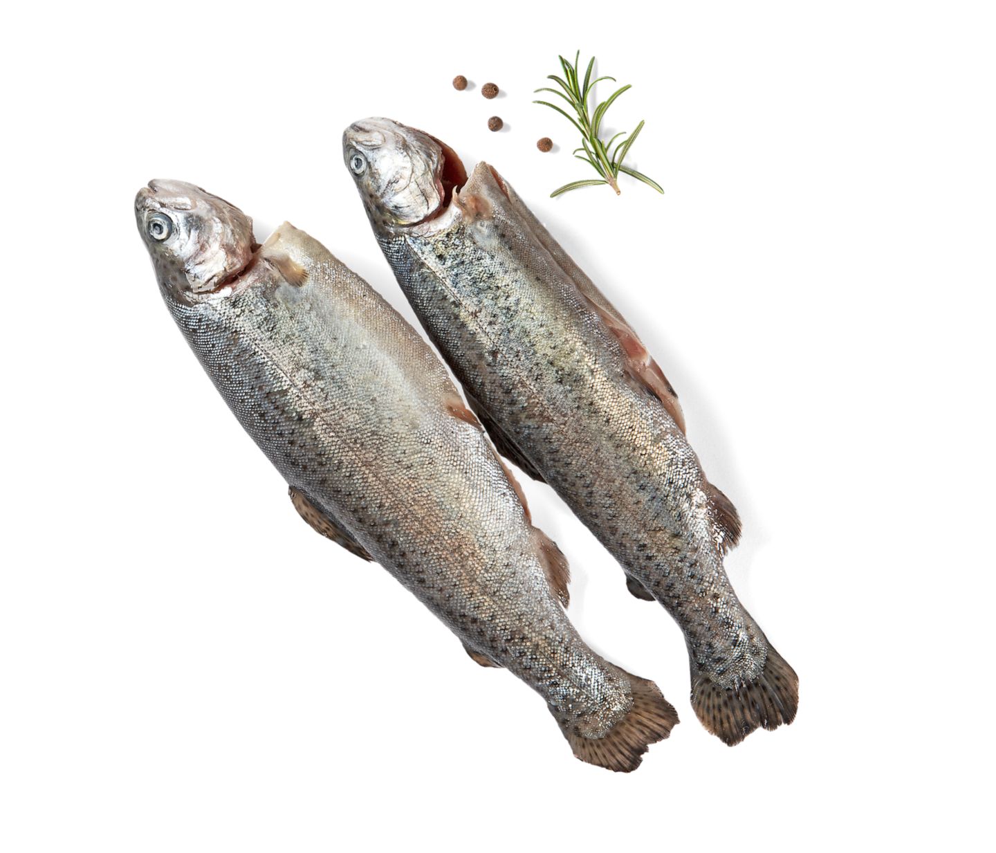 K Blue Bay Pastrva očišćena 560 g
MPC 2.5.2025=5,29€