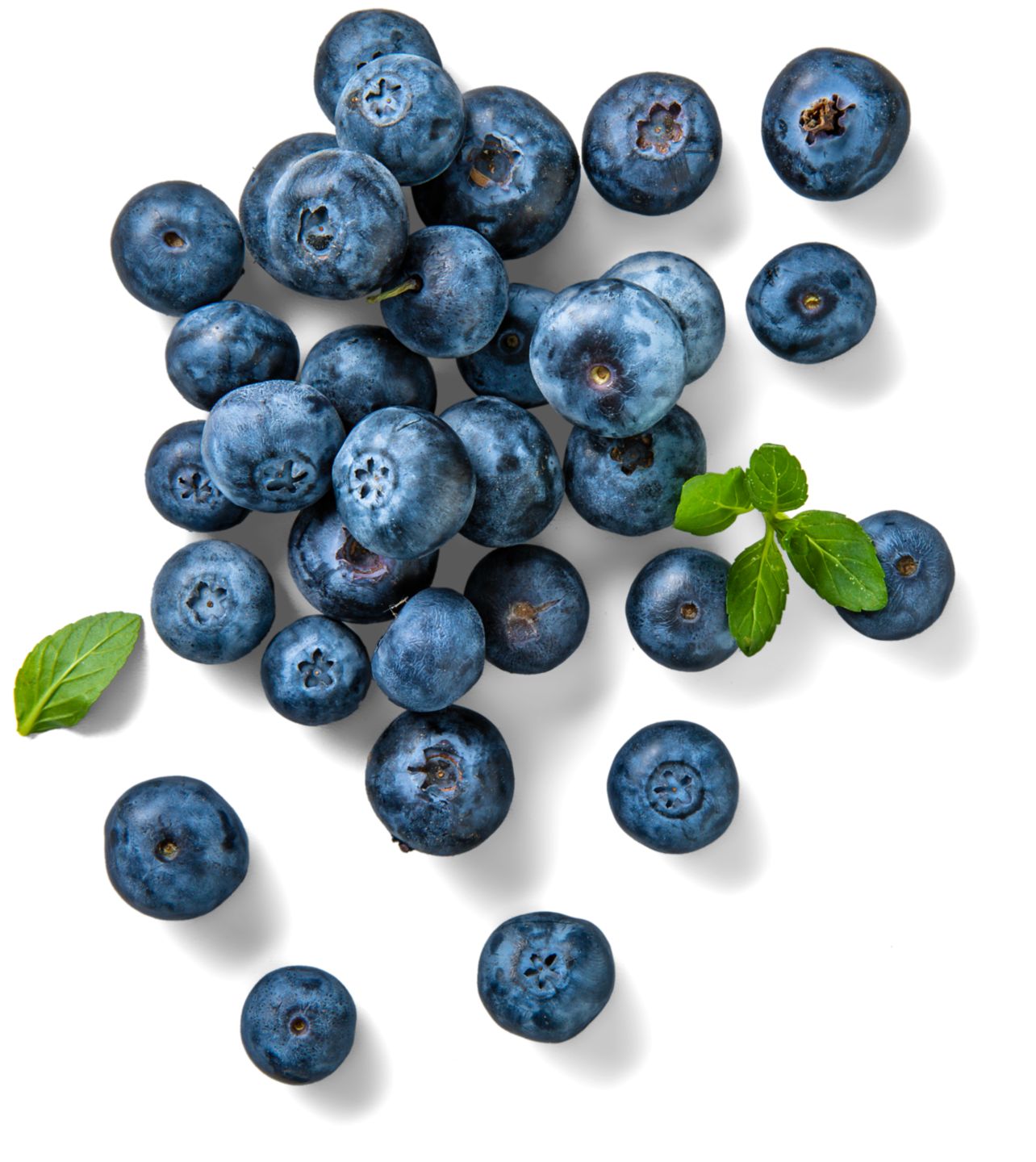 Dtsch. Kulturheidelbeeren