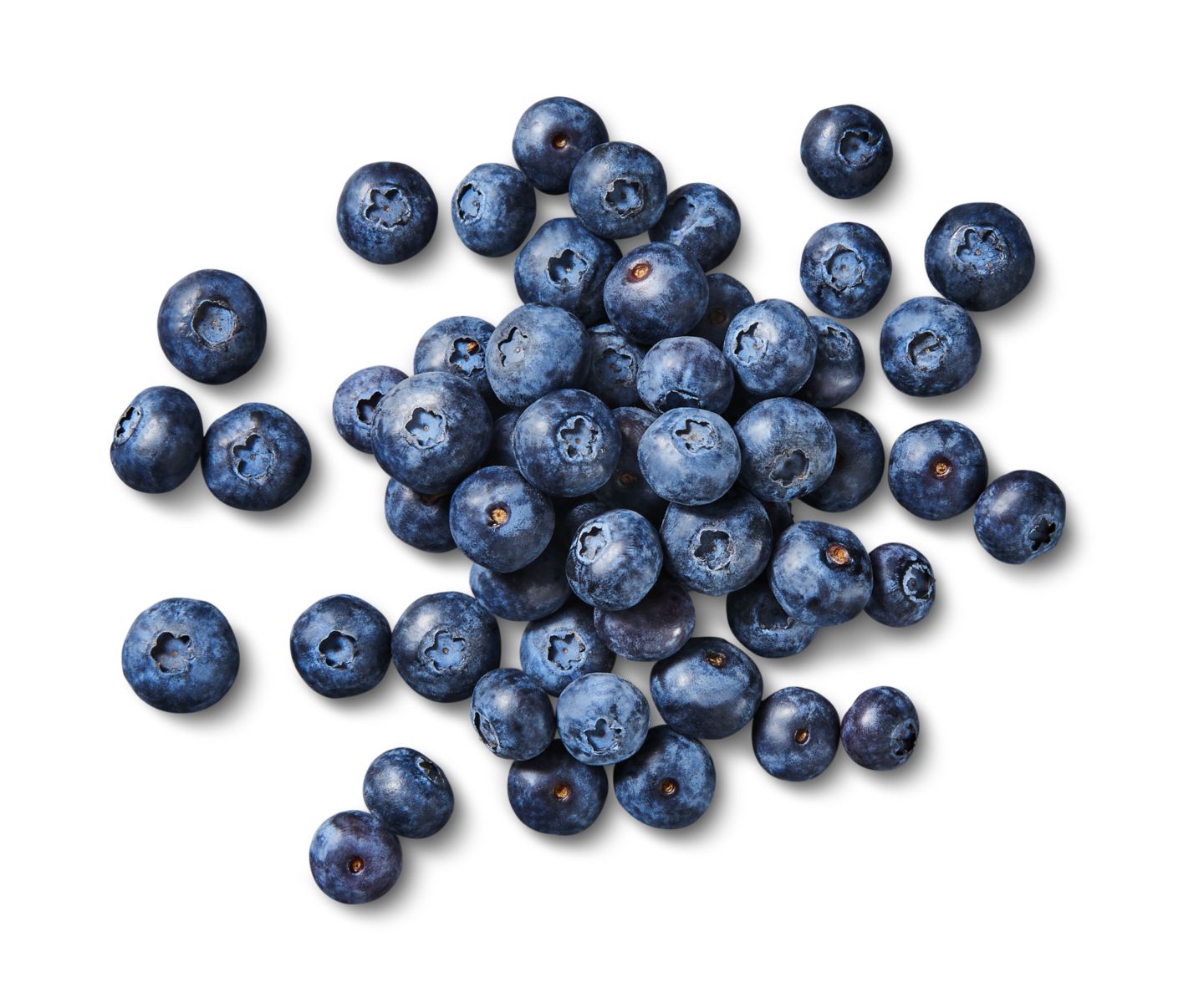 Span./marokk. Bio-Kulturheidelbeeren  