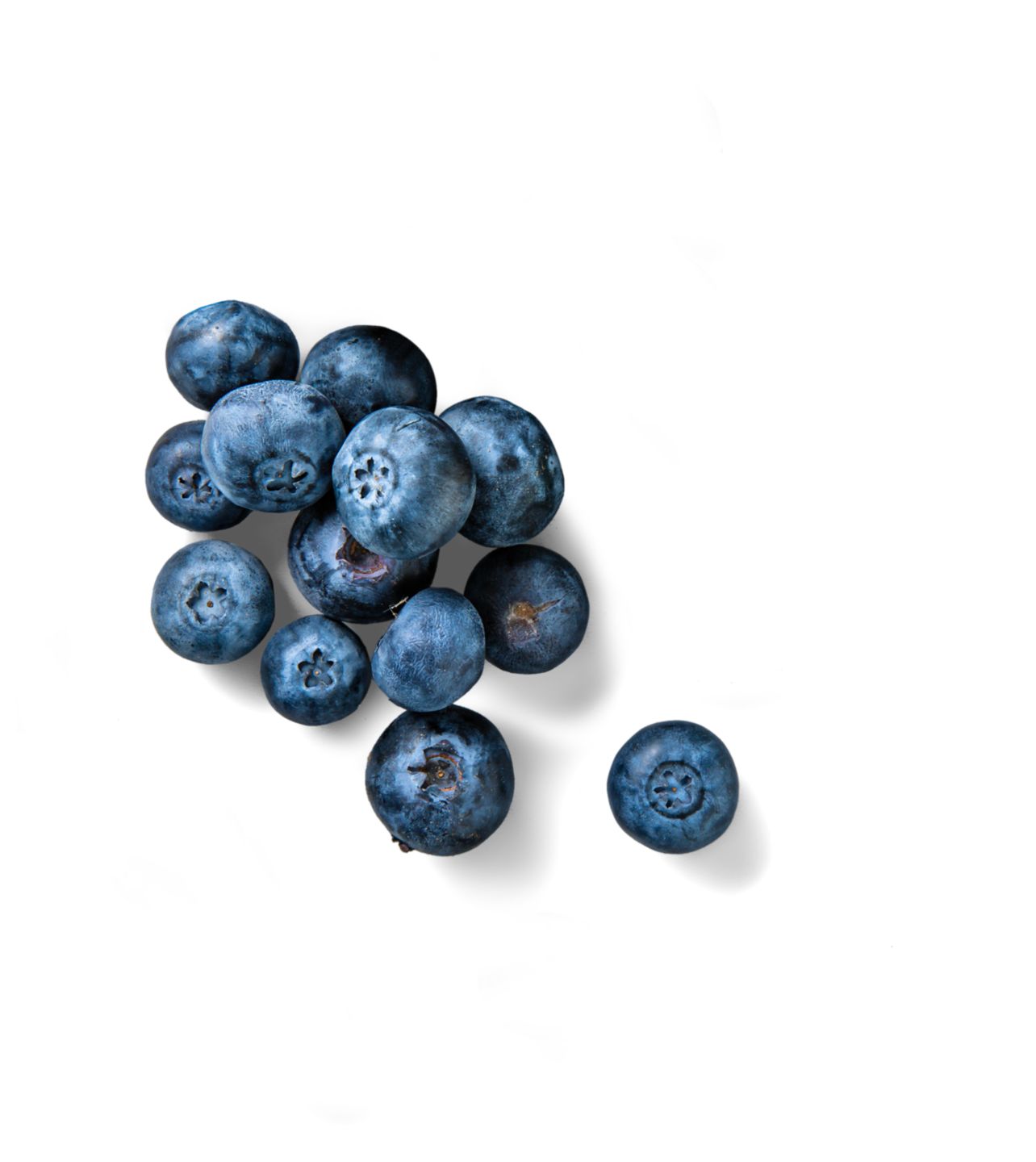 Peruan. Kulturheidelbeeren