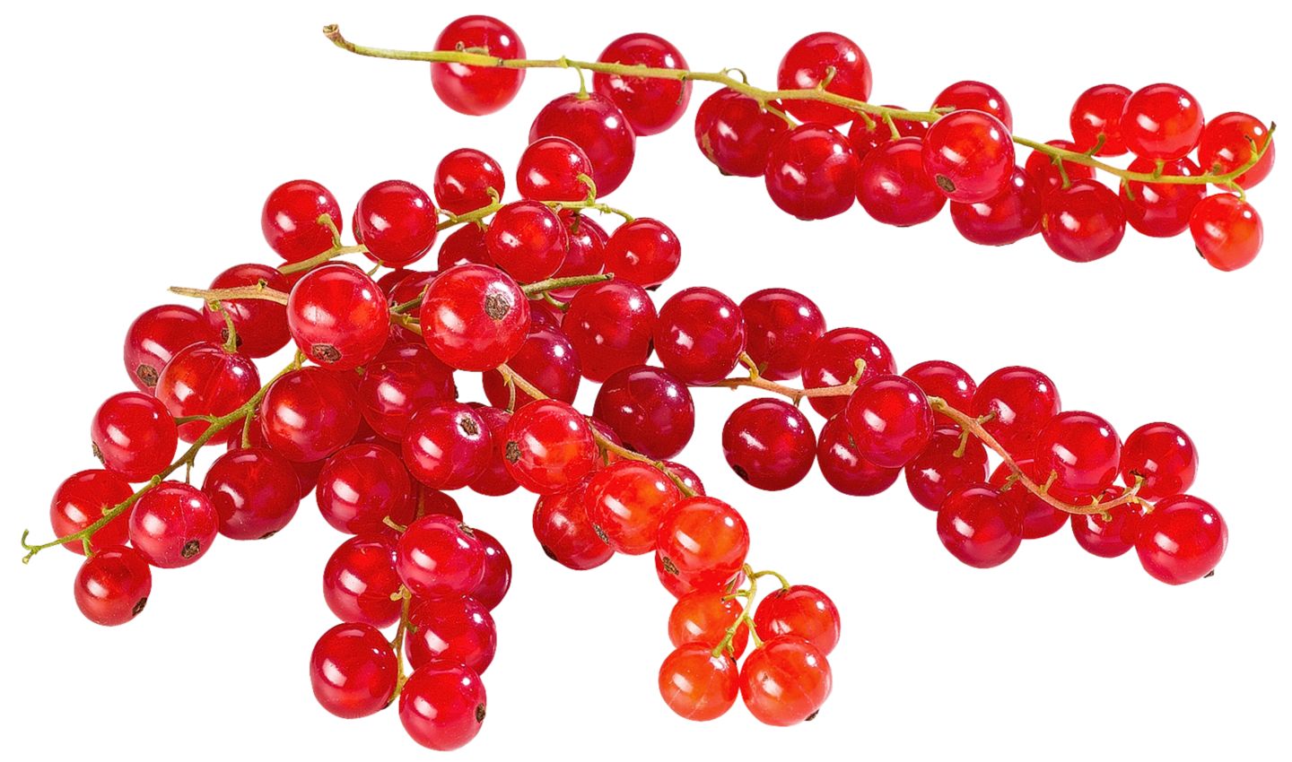 Dtsch. Johannisbeeren  