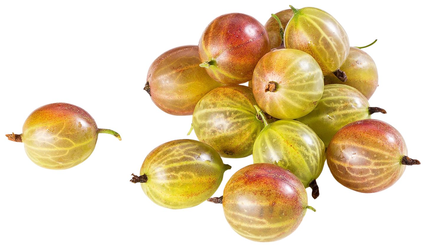 Dtsch. Stachelbeeren  