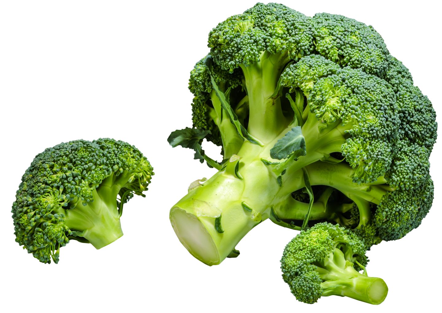 Span./ital. Bio-Broccoli