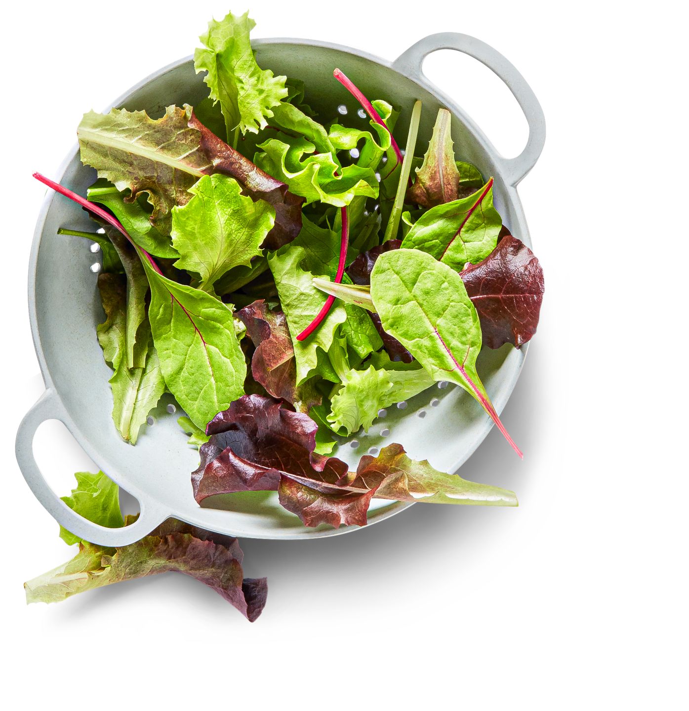 Dtsch. Pflücksalat  