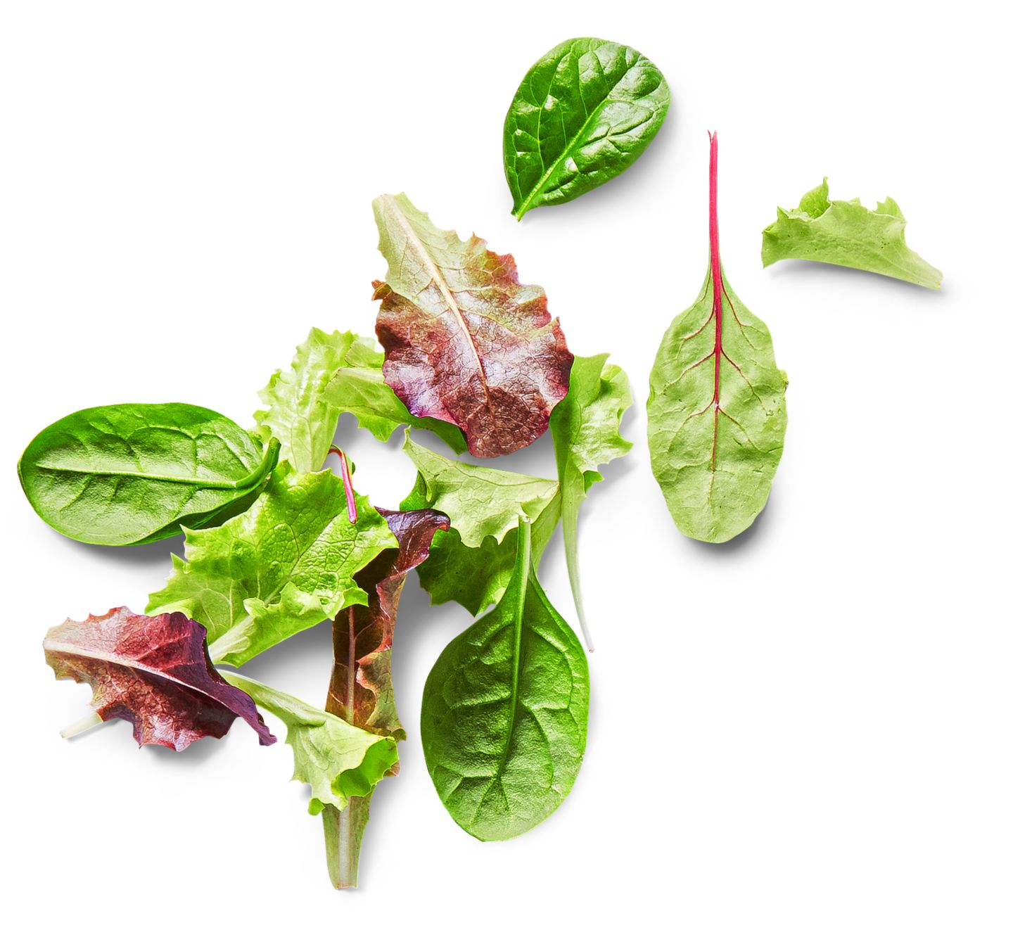Ital. Pflücksalat  