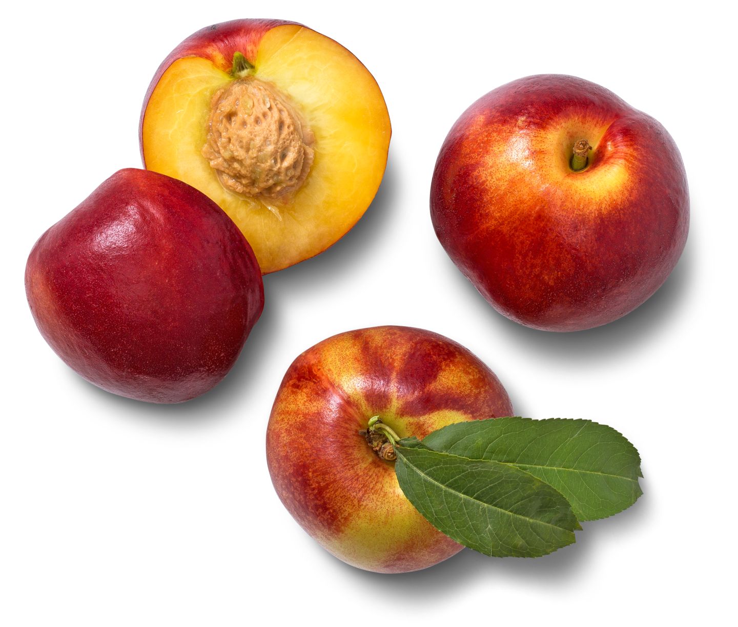 Südafrik. Nektarinen