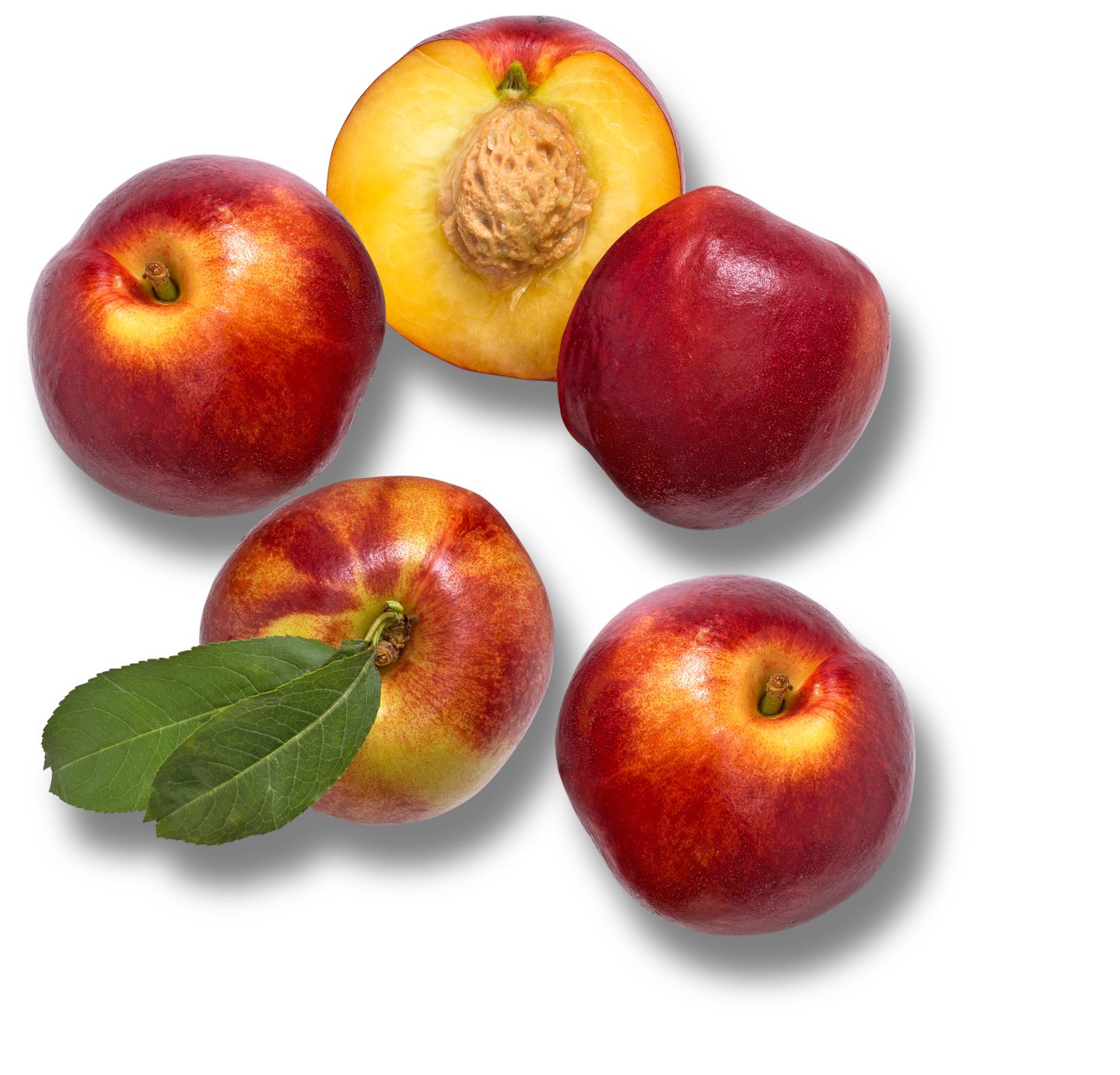 Südafrik. San Lucar Nektarinen