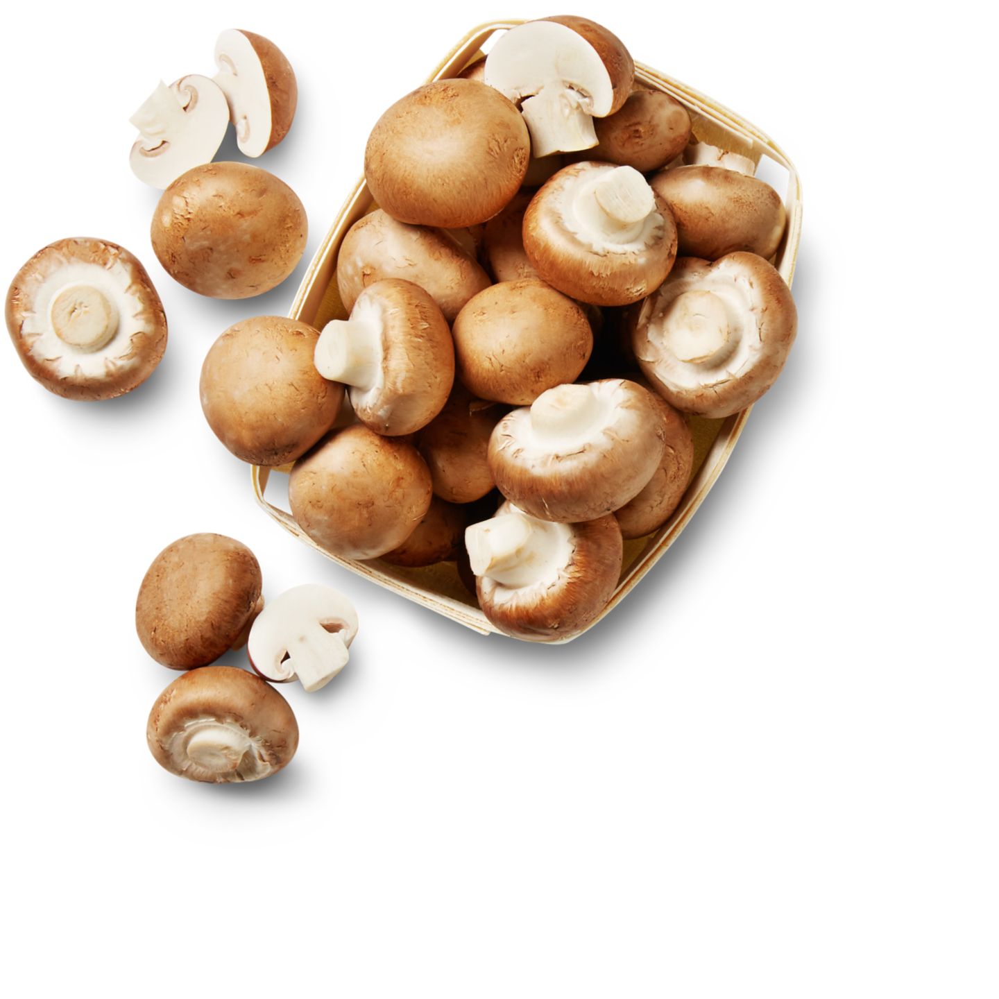 Pol./kroat. Kulturchampignons, braun