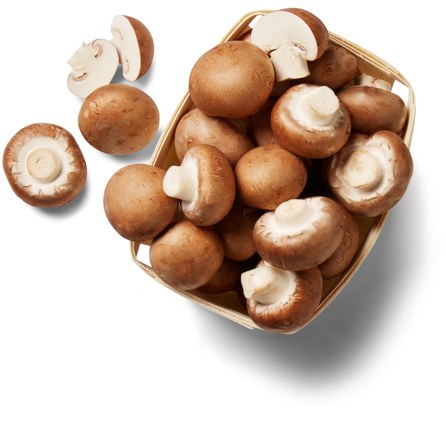 Dtsch. Kulturchampignons, braun