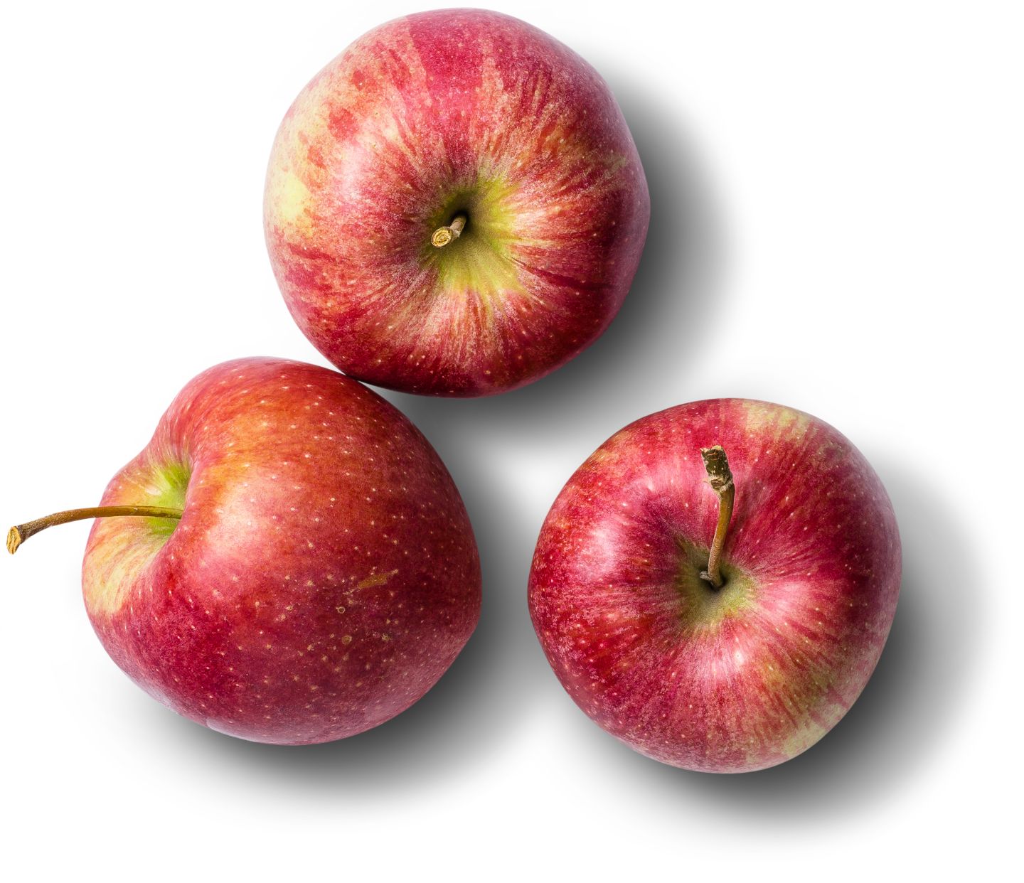 Dtsch. Tafeläpfel Cameo  