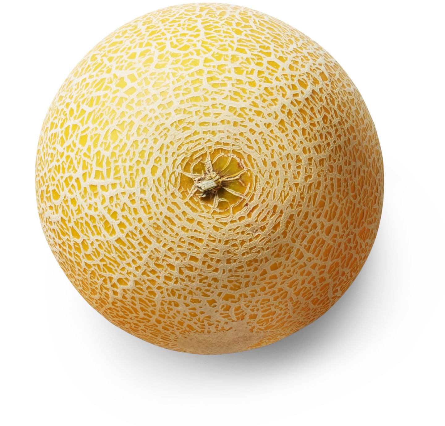 Brasil. Honigmelone, lose