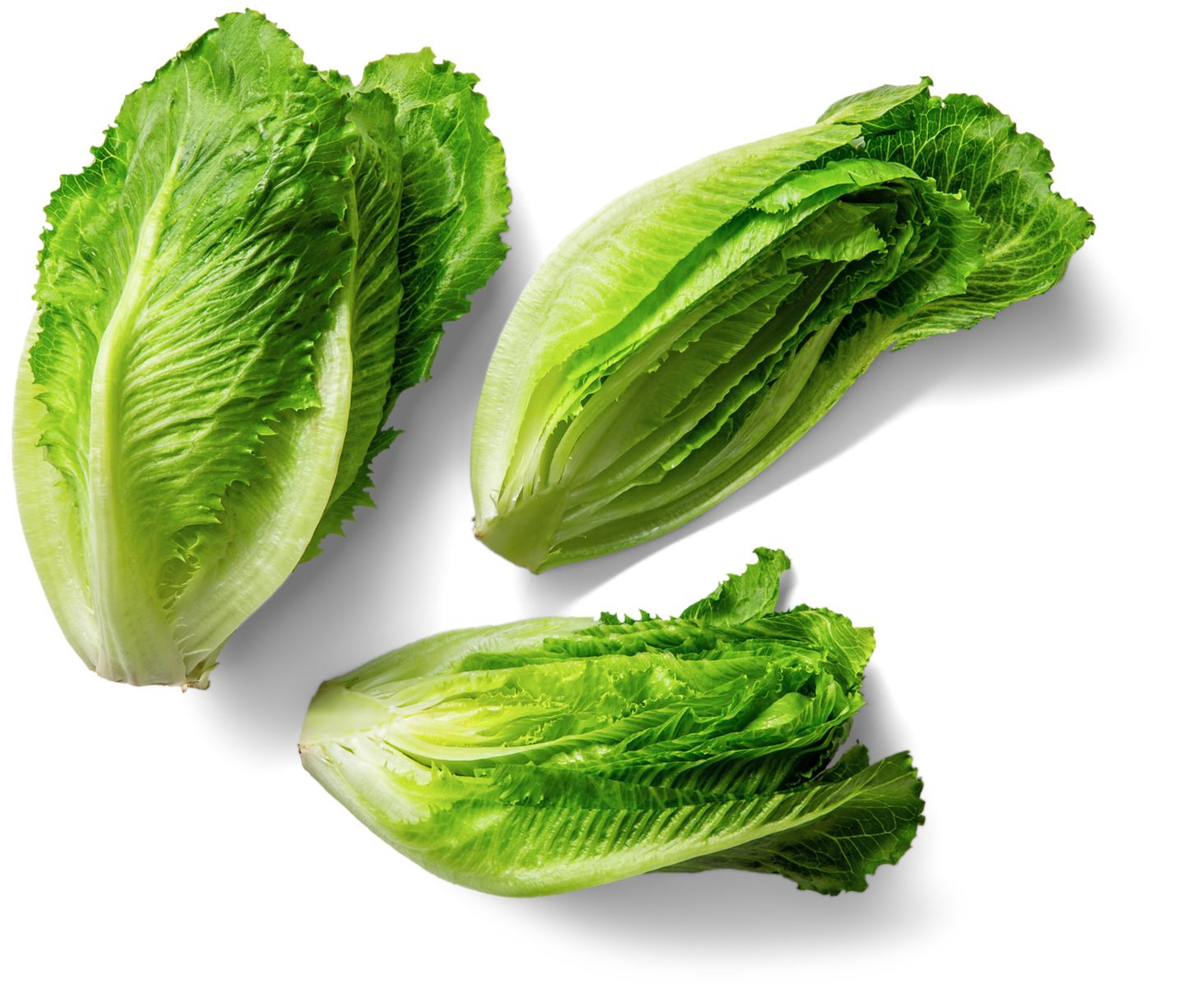 Dtsch. Salarico-Salat