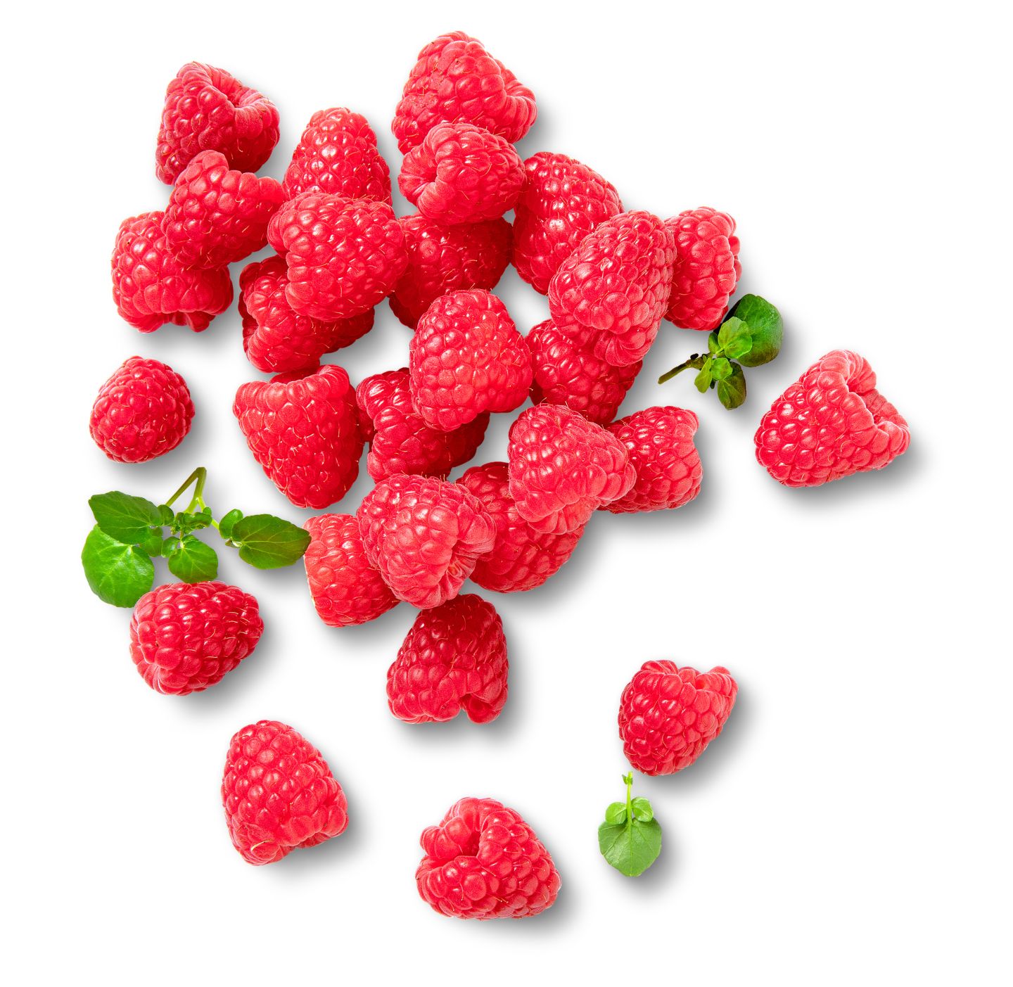 Dtsch. Himbeeren