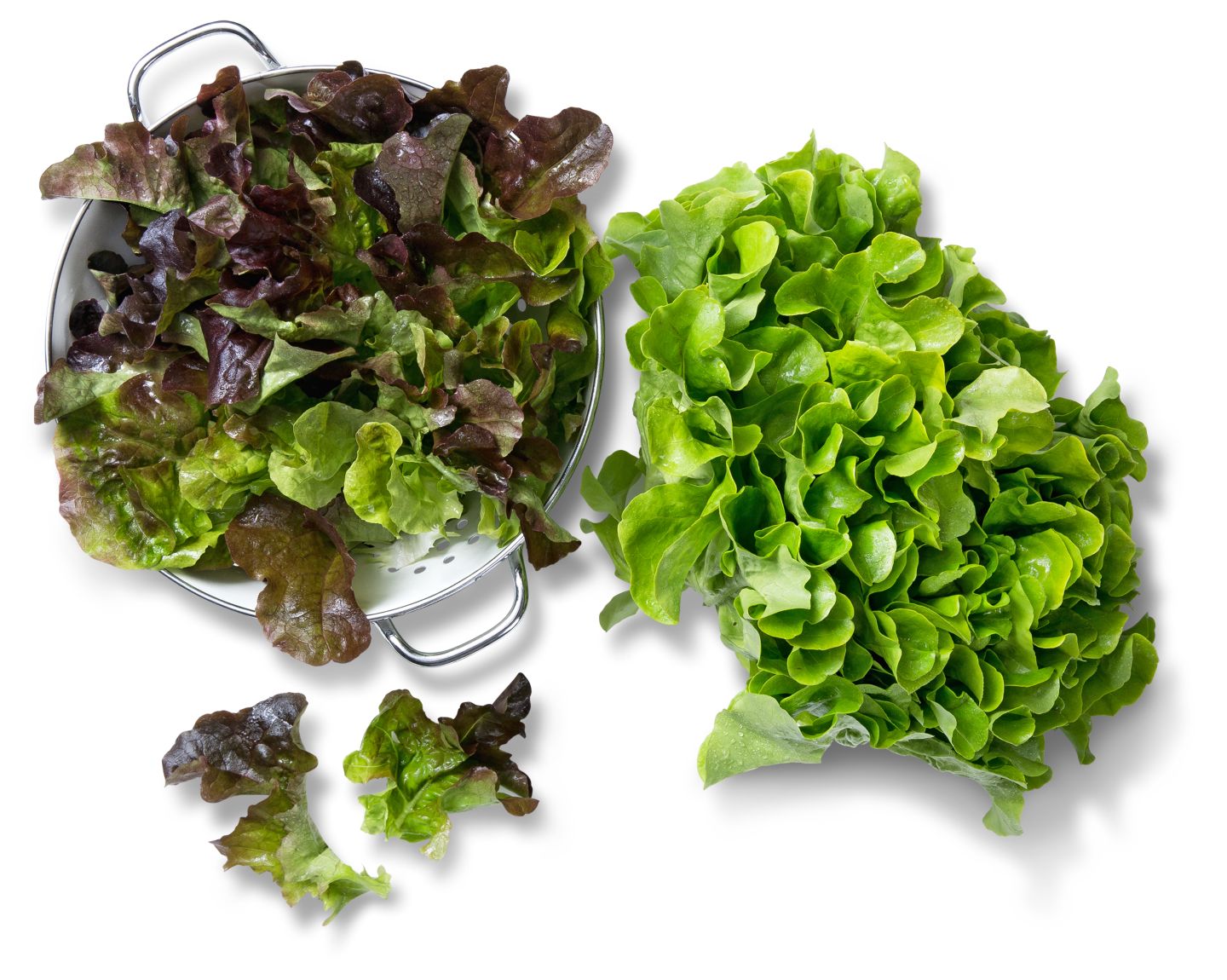 Dtsch. Lollo Mix, Kopfsalat oder Eichblattsalat, lose