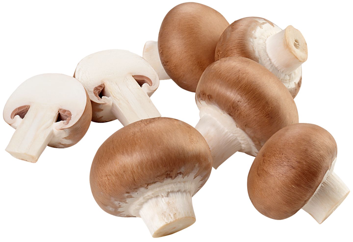 Bioland dtsch. Champignons, braun