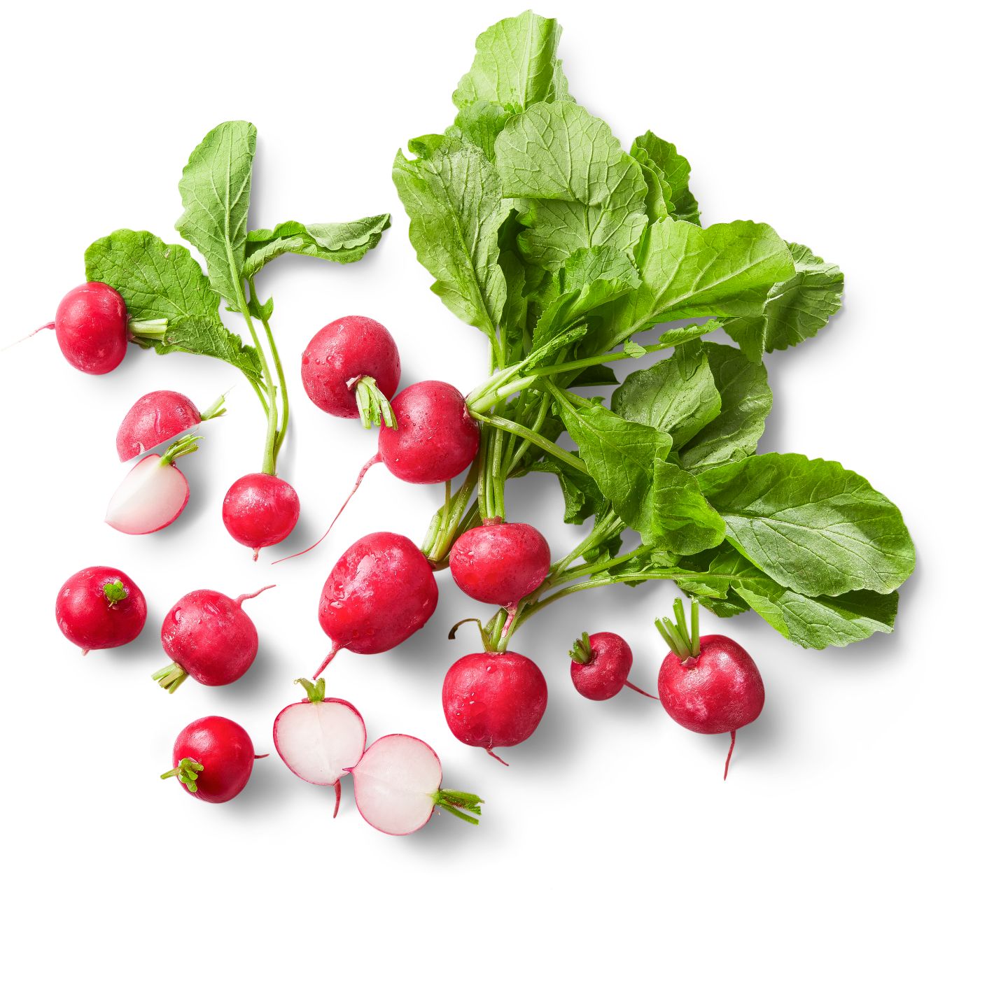 Ital. Radieschen