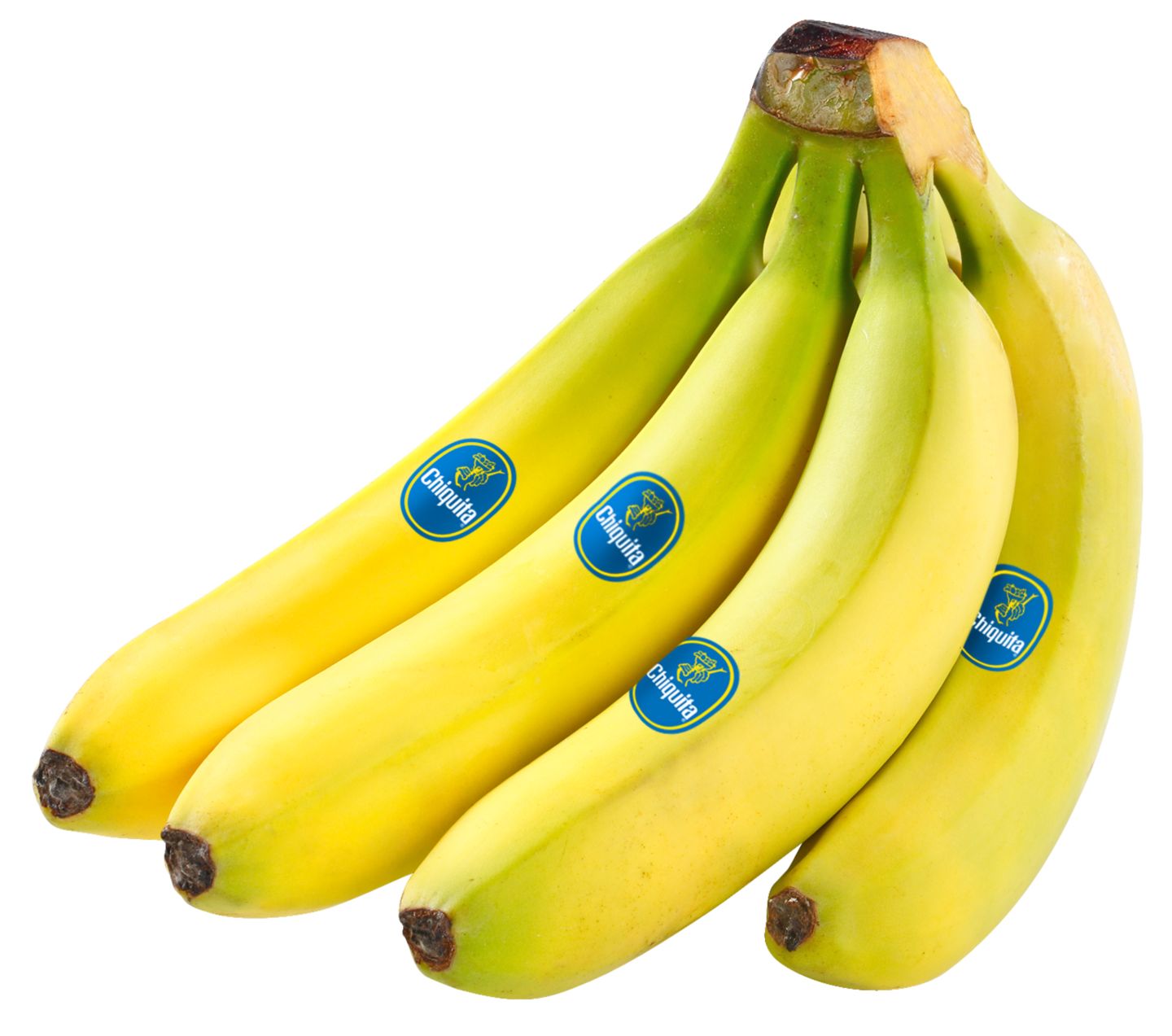 Costa-rican./ecuador. Bananen