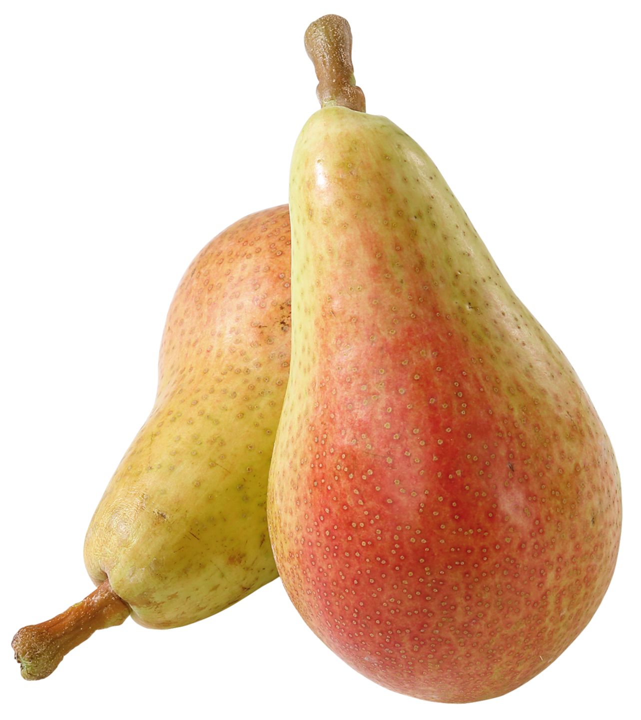 Südafrik. Tafelbirnen rot