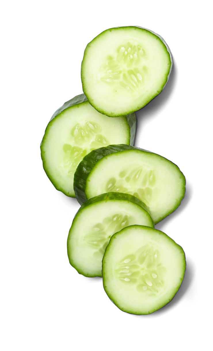 Span. Bio-Gurke