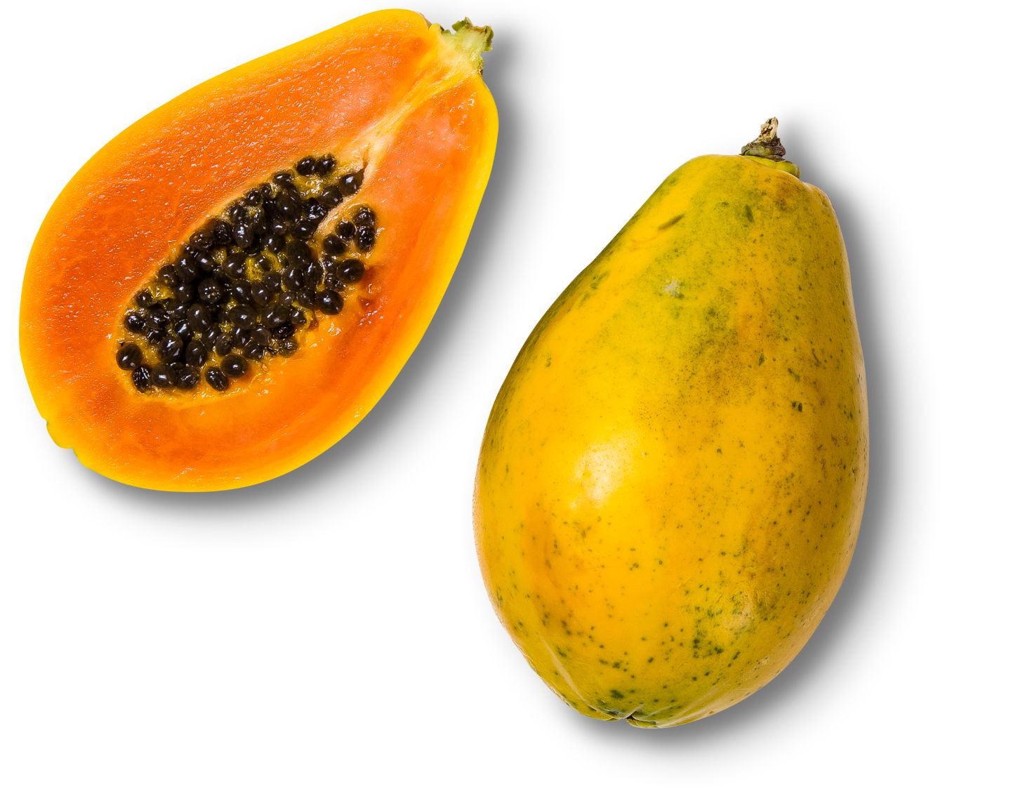 Brasil./ghan. Papaya