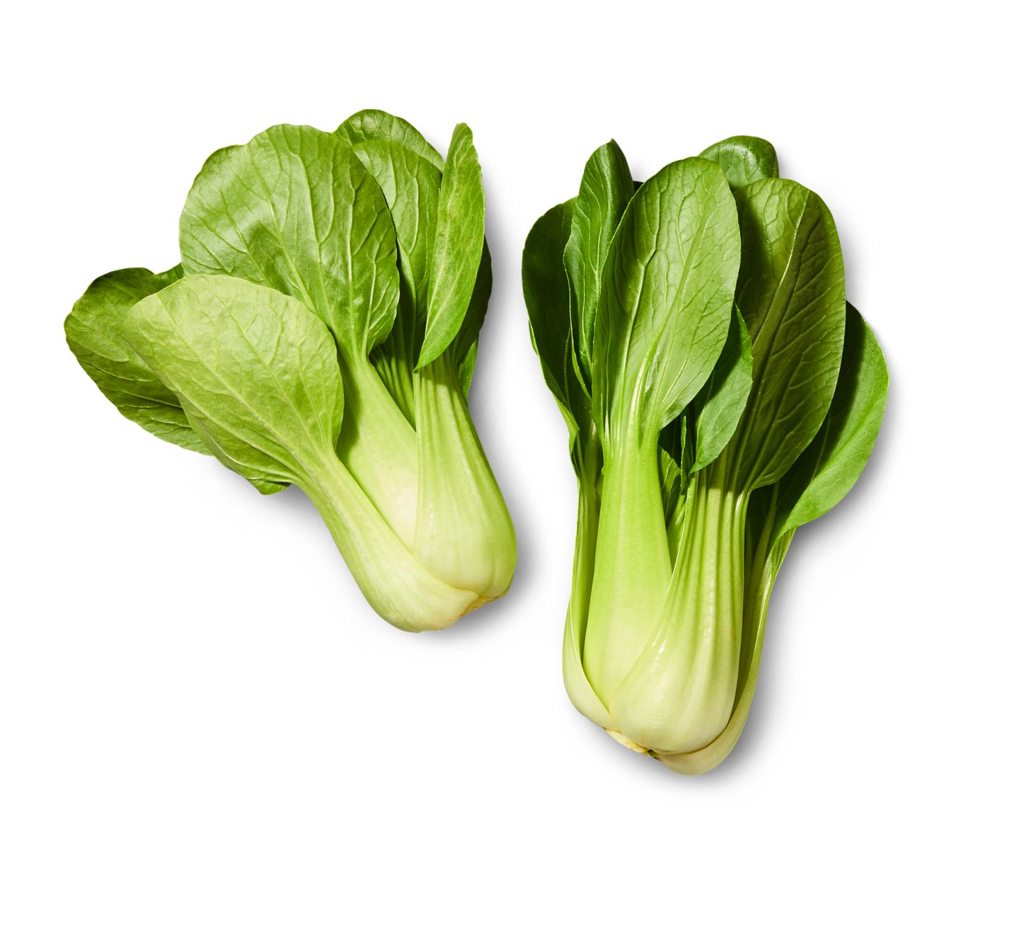 Ital./span. Mini-Pak Choi