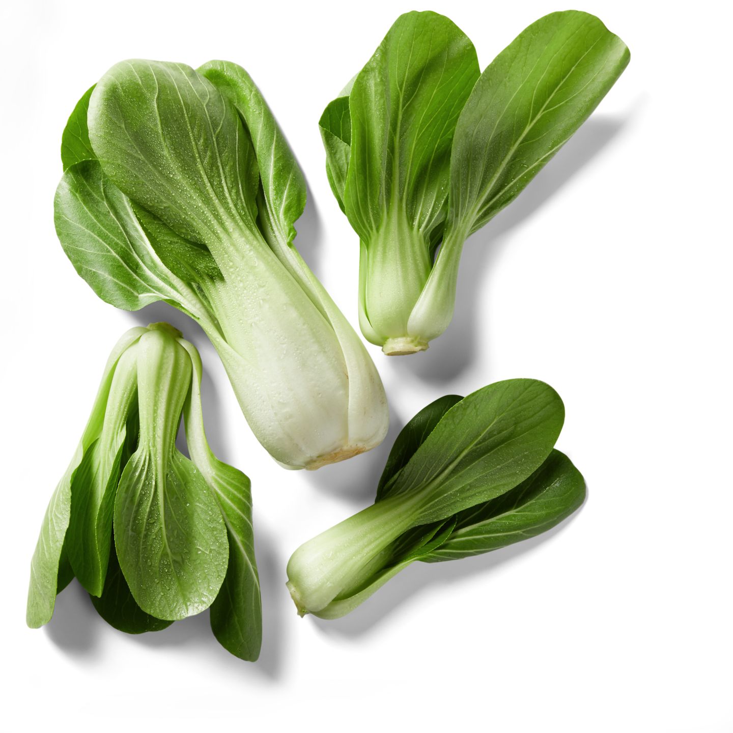 Span. Mini-Pak Choi
