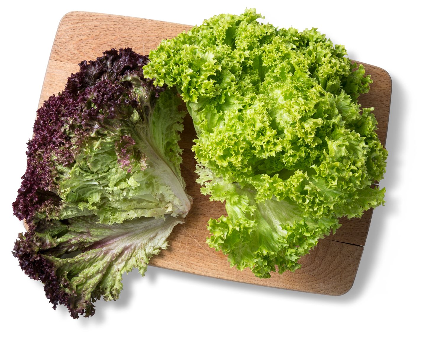Dtsch. Kopfsalat, Lollo- oder Eichblattsalat