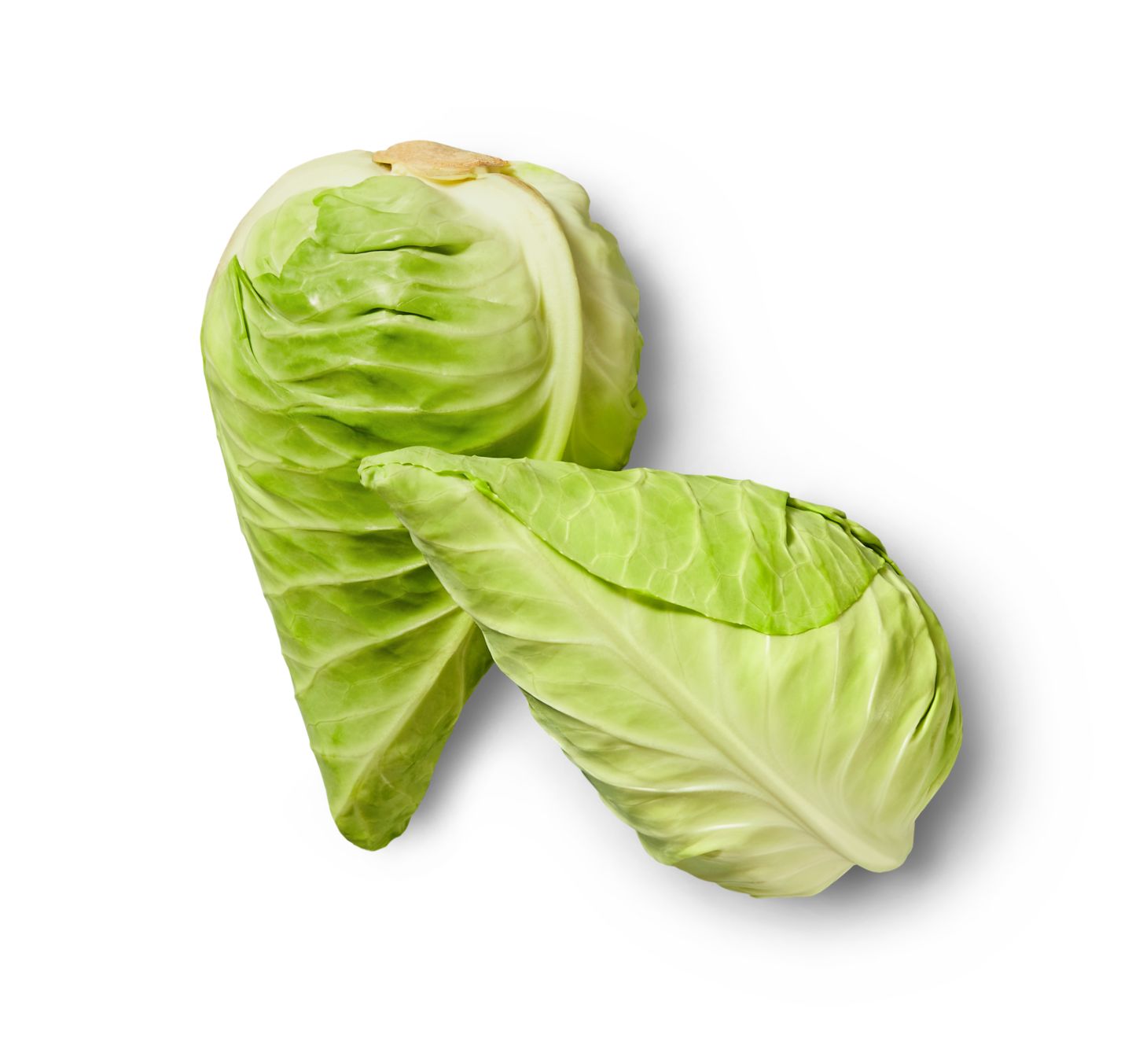 Dtsch. Spitzkohl