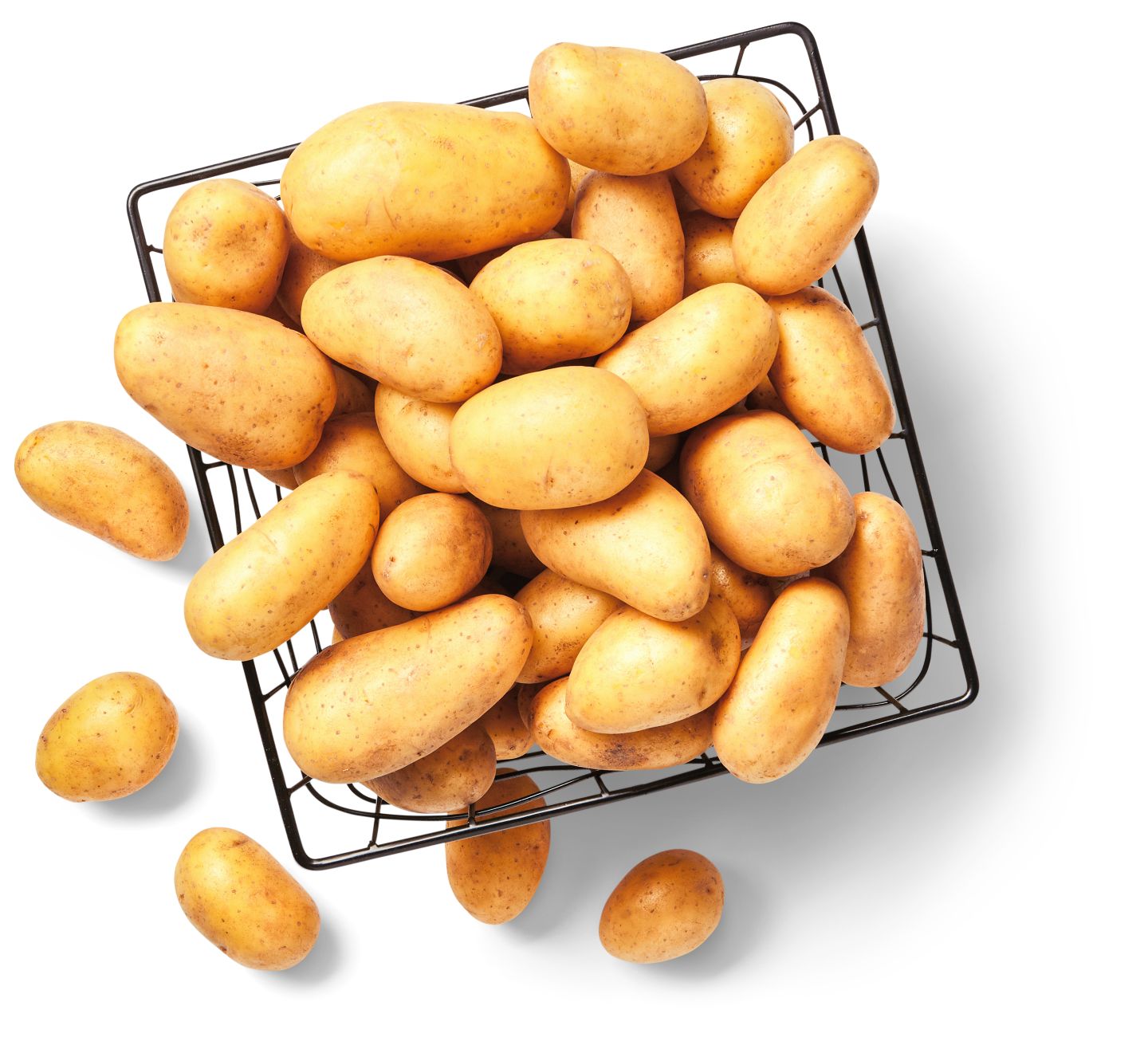 Dtsch./franz. kleine Speisekartoffeln