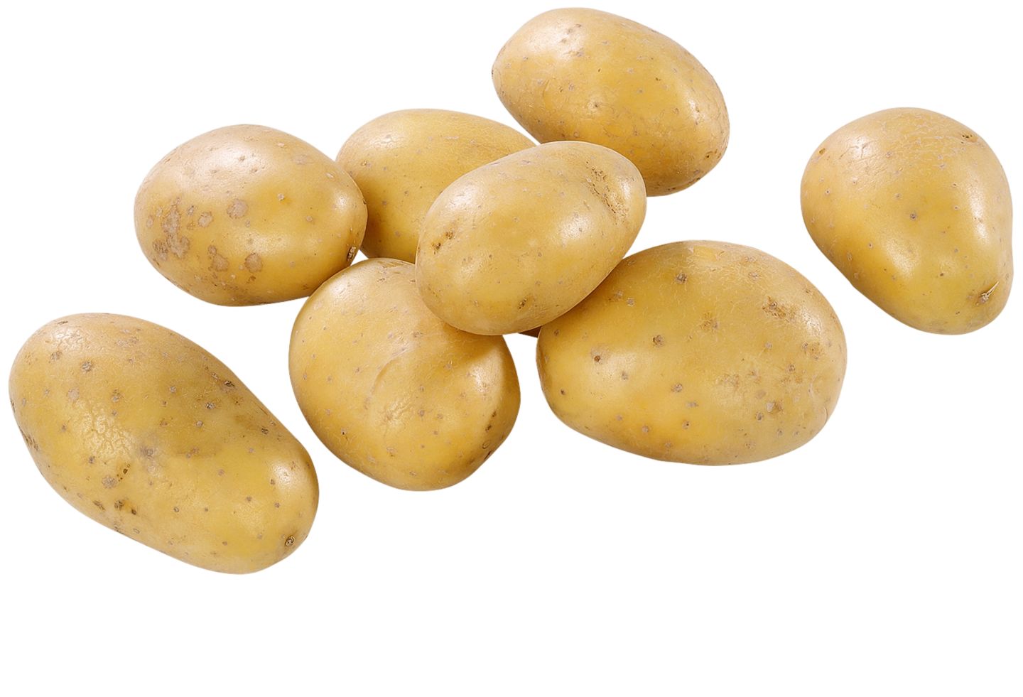 Ägypt. kleine Speisefrühkartoffeln