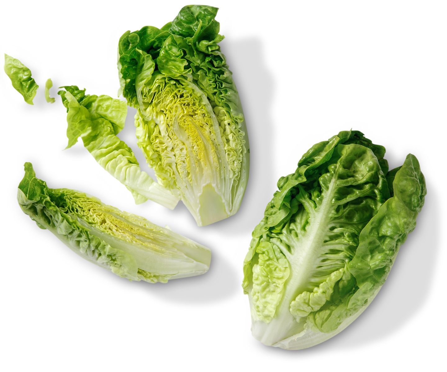 Span. Romanasalat XXL  