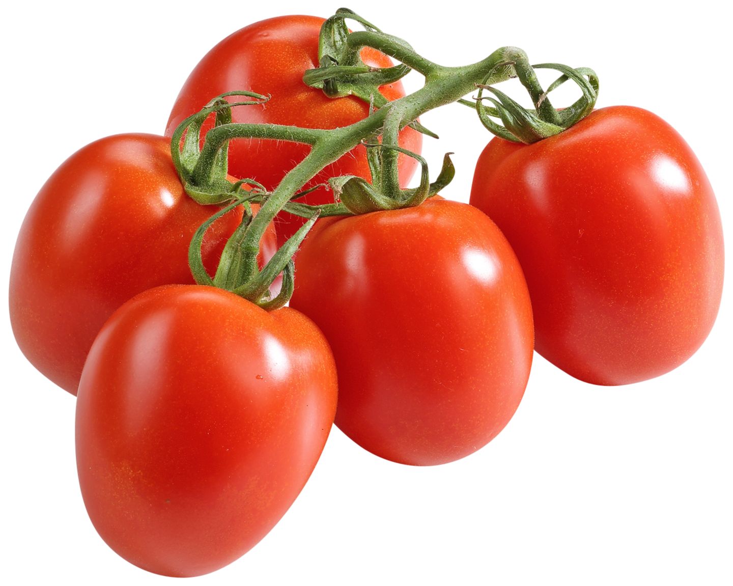 Span. Romatomaten XXL