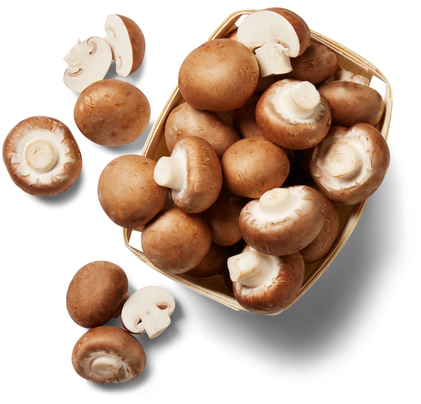 Bioland dtsch. Champignons, braun