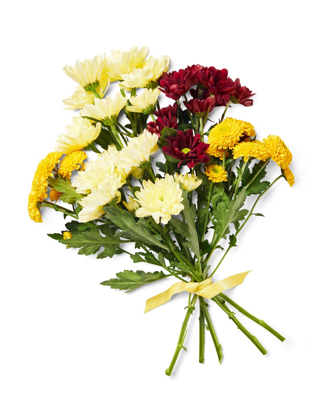 Chrysanthemen Mono, gefärbt, Mix im Bund oder Chrysanthemen Anastasia