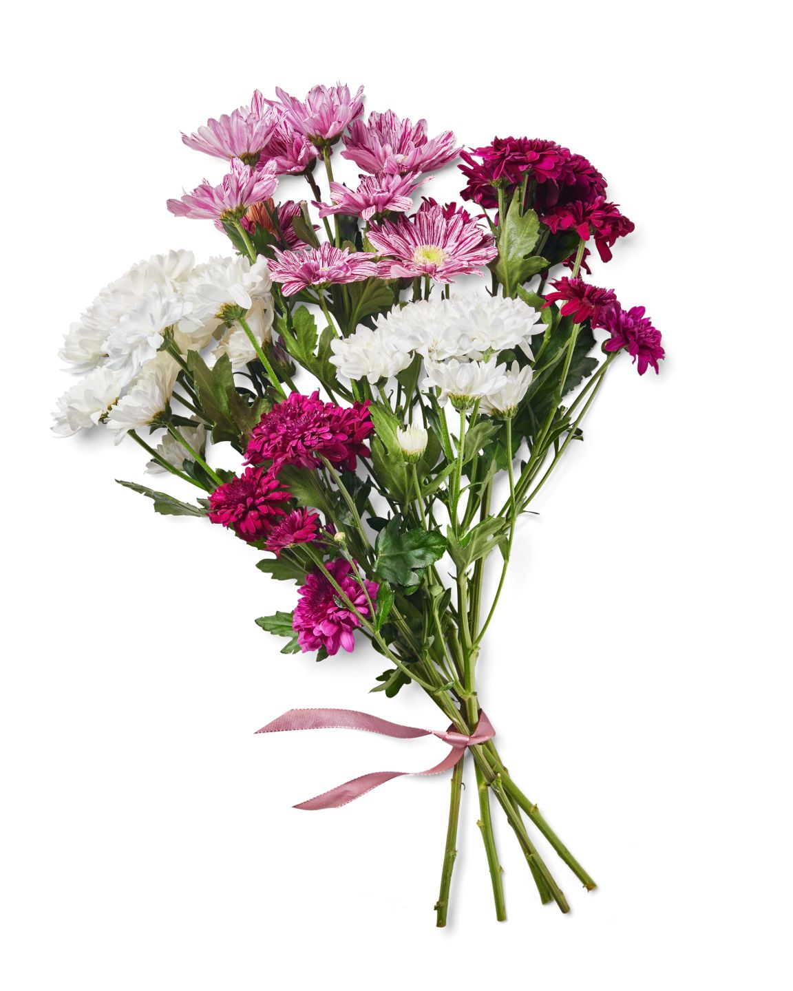 Chrysanthemen Mix