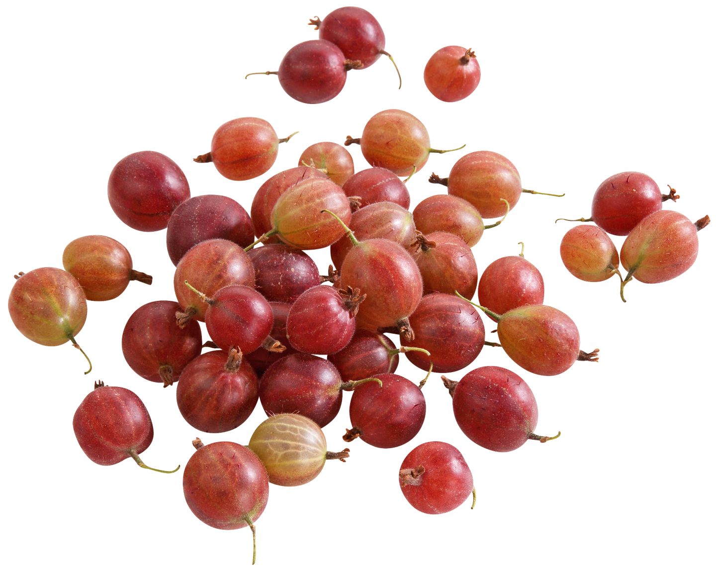 Dtsch. Stachelbeeren