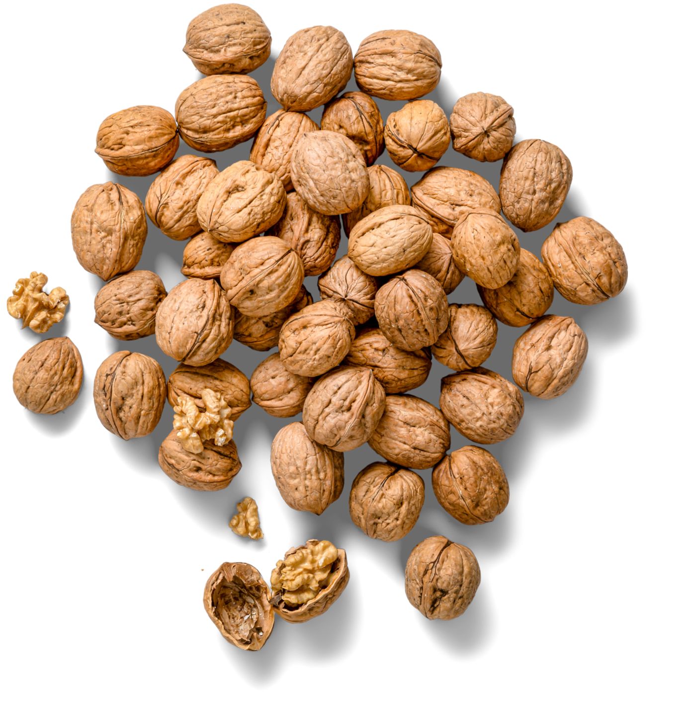 K-Classic Chil./amerik. Walnüsse XXL